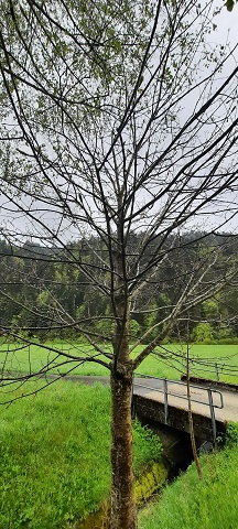 Umfeld